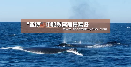 亚博体育